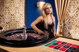 5567 bet