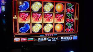 5567 bet