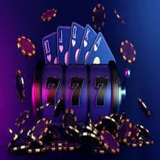 5567 bet