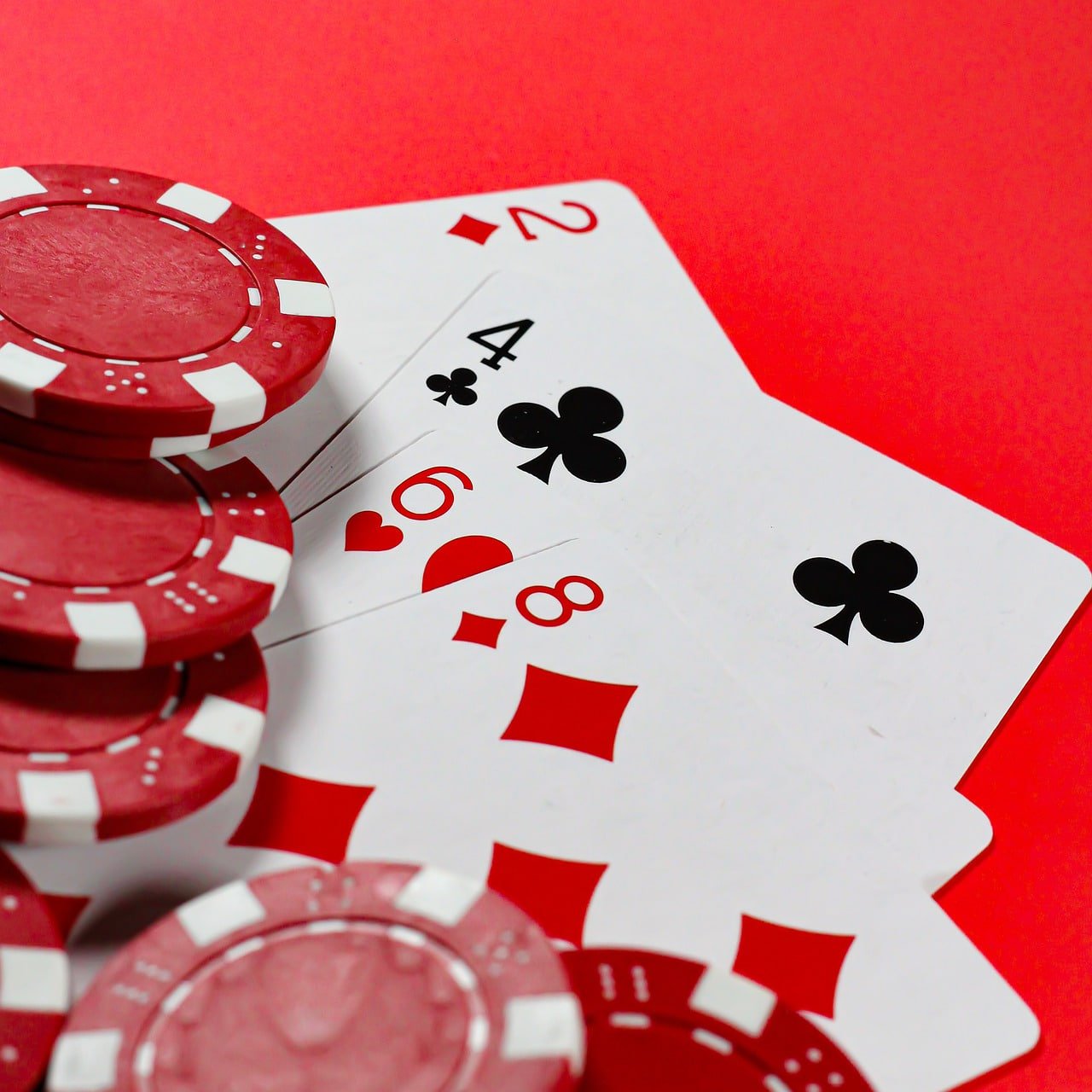 5567 bet