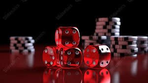 5567 bet